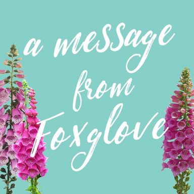 A Message From Foxglove