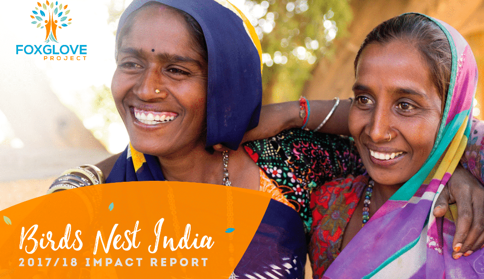 Birds Nest India impact report 2017-18